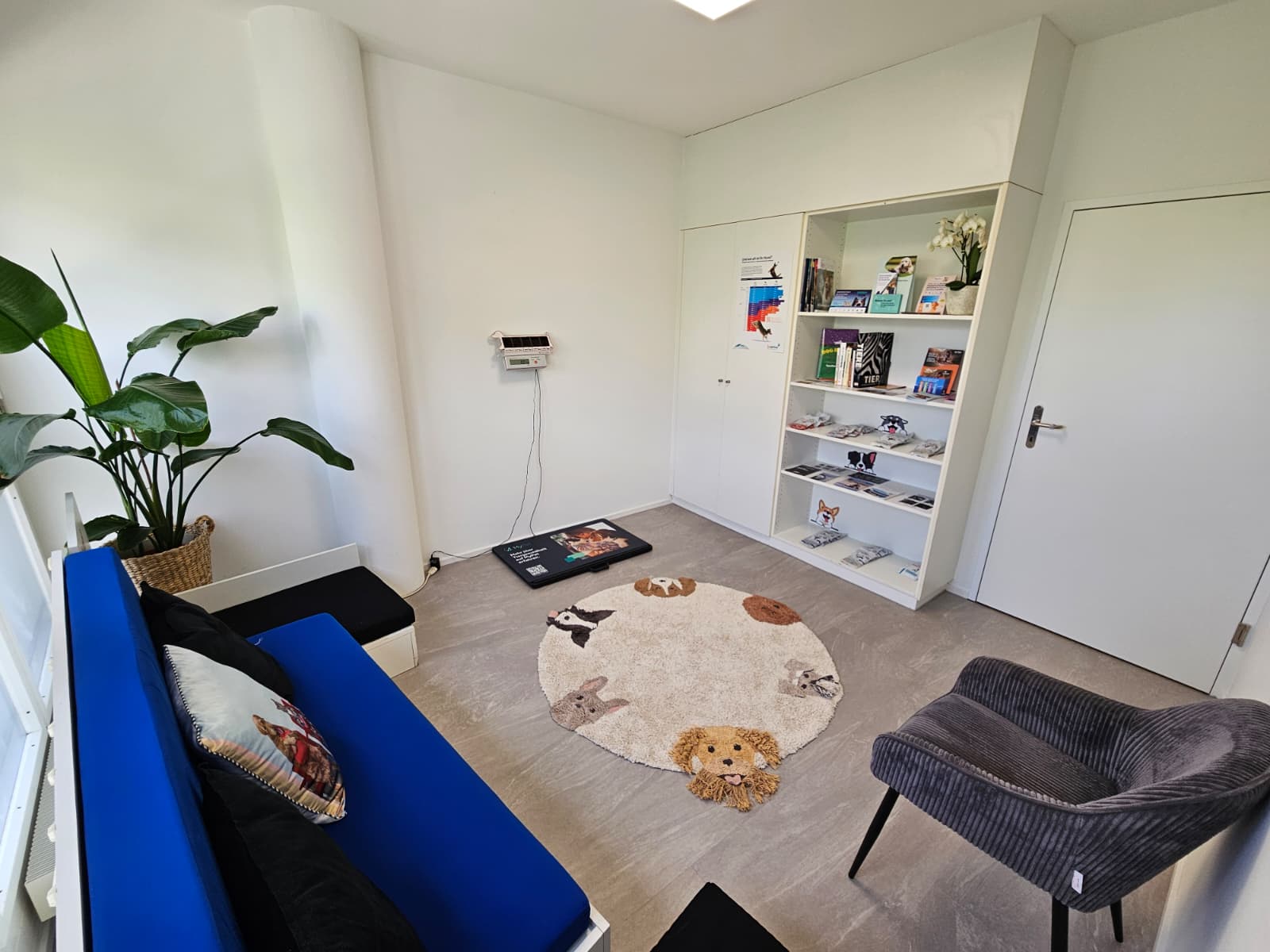 Hundewartezimmer