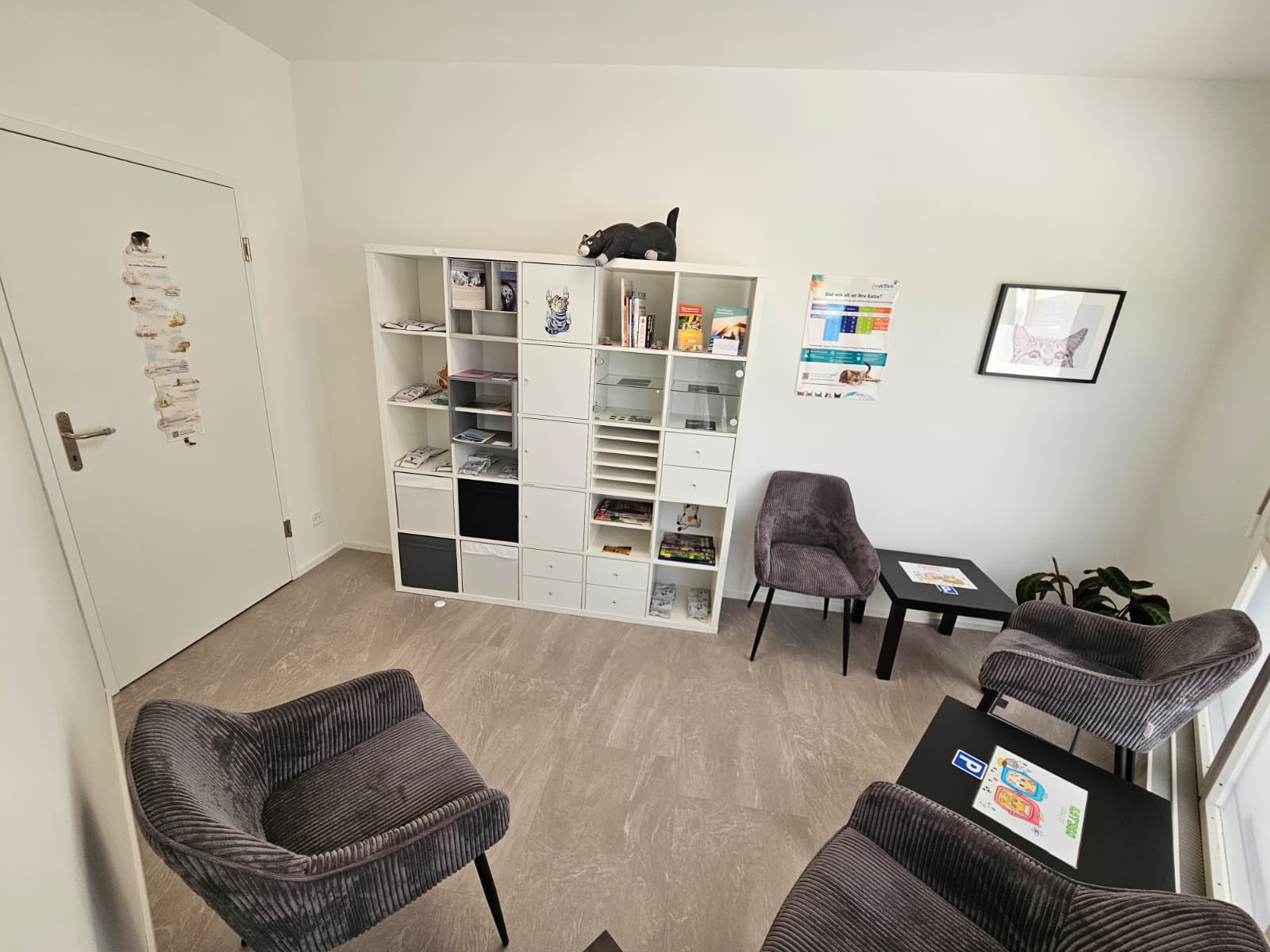 Katzenwartezimmer